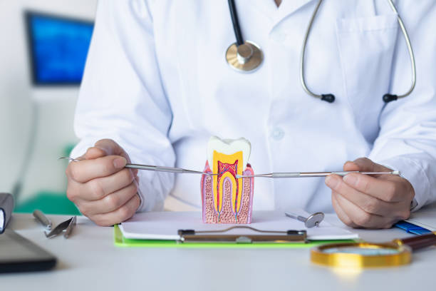 Best Urgent Care for Lost Fillings or Crowns in Gberts, IL